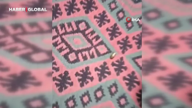 Adana'da Yorgun Mermi Paniği! Çardağa Düştü, Aile Şoke Oldu!