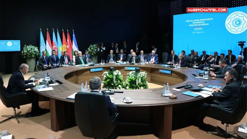 Cumhurbaşkanı Erdoğan: "Türk devletleri, köklü bir mirasın taşıyıcısıdır"