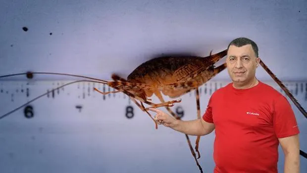 Dicle'de keşfedildi, ilçenin adı verildi... 'Daha önce böyle bir cinse rastlanmamıştı'