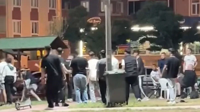 Edirne Parkta Yumruklar Konuştu! Gençler Birbirine Girdi!