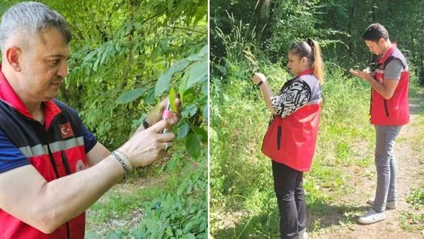 Kandıra'da Şok Gelişme! 5000 Samuray Arısı Göreve Başladı!