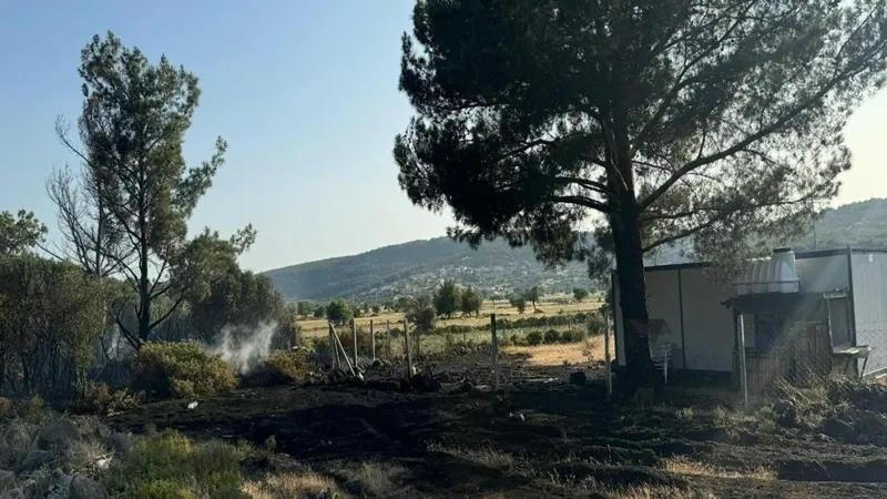 Mangal yaparken orman yangınına neden olan şahıs tutuklandı