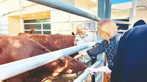 ABD Elçisi'nden Kırmızı İnek Ziyareti: Siyonizm İddiaları!