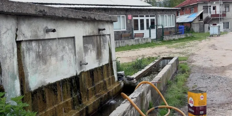 Bolu'da Köy Halkı Zehirlendi! Su Muçu Neden Oldu?