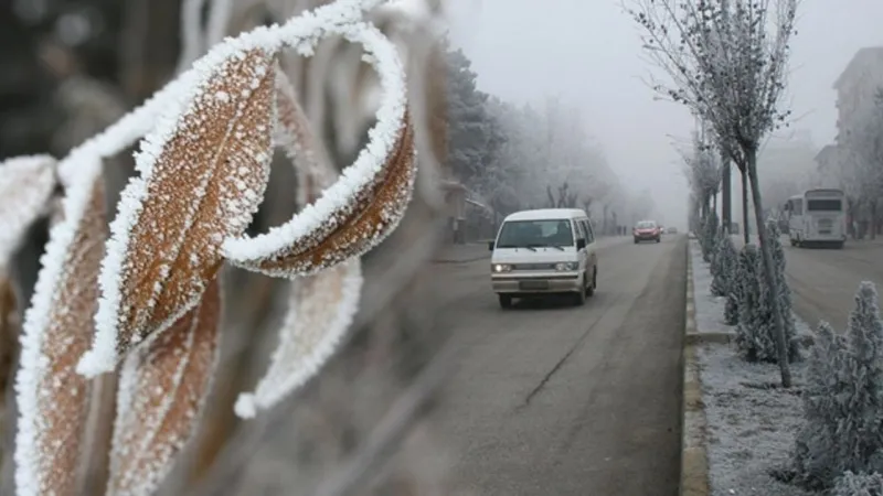 Bolu'da Zirai Don Alarmı! Çiftçiler Dikkat!