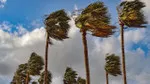 Meteoroloji uyardı: Sıcaklıklar artıyor, kuvvetli rüzgar ve sağanak geliyor