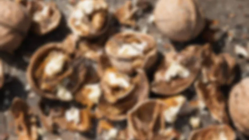 Şanlıurfa'da Baklava Tuzağı! 11 Ton Küflü Cevizle Ne Amaçlandı?