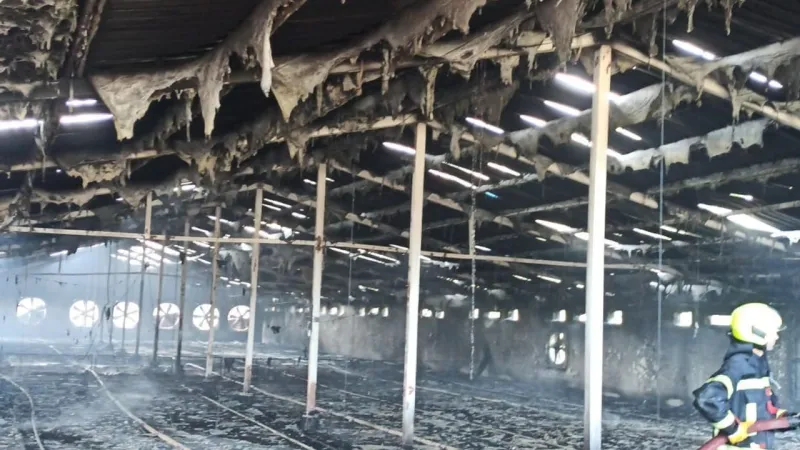 Tarsus'ta Korkunç Yangın! Tavuk Çiftliği Kül Oldu!