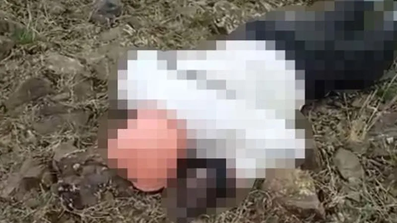Van'da Çobanlar Korkunç Manzarayla Karşılaştı! Şoke Eden Detaylar