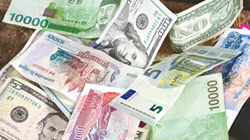 Ticari amaçlı döviz alım satımına izin şartı