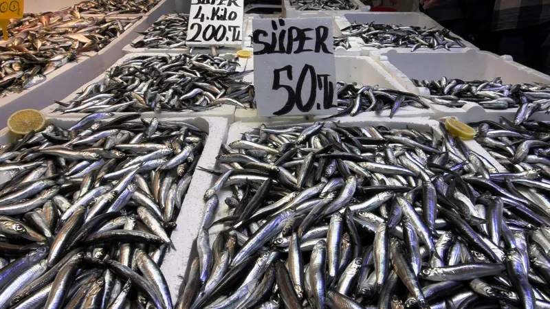 Trabzon'da hamsinin kilosu 50 liraya kadar düştü, vatandaşlar tezgahlara koştu