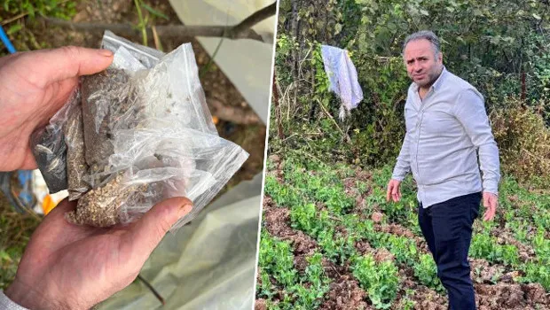 Ata Tohumu Seferberliği: Trabzon'dan Türkiye'ye Ücretsiz Tohum!